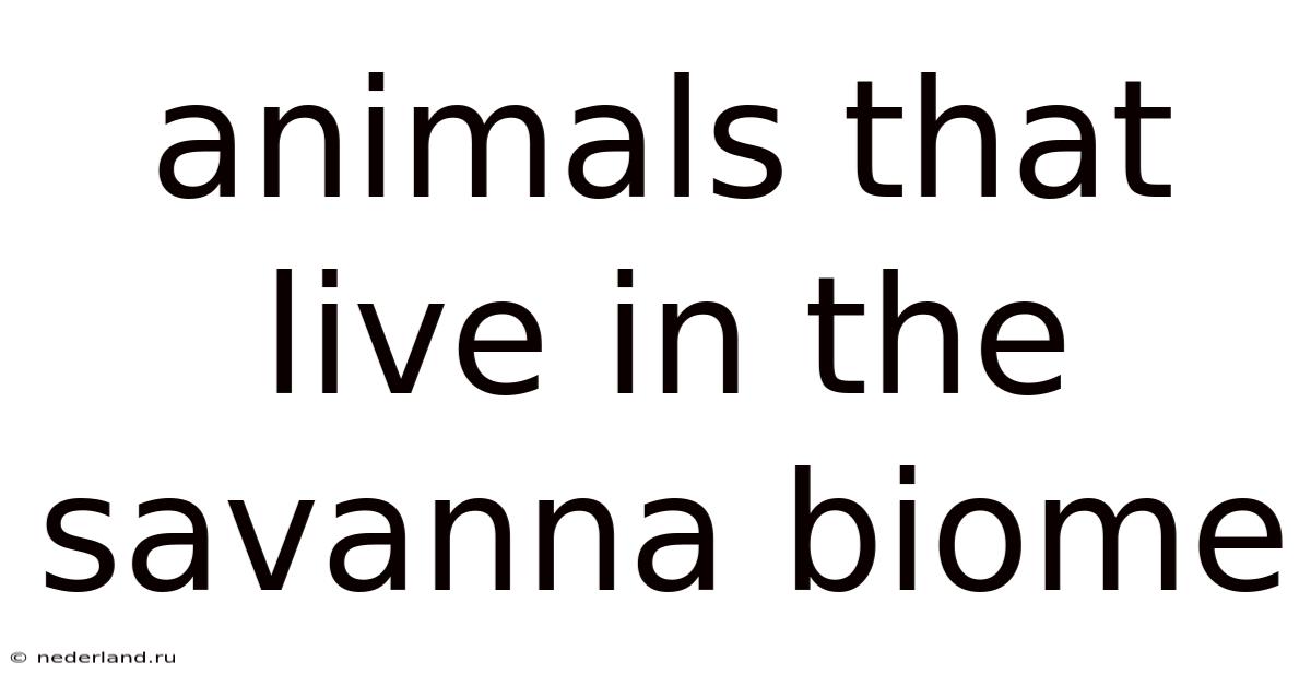 Animals That Live In The Savanna Biome