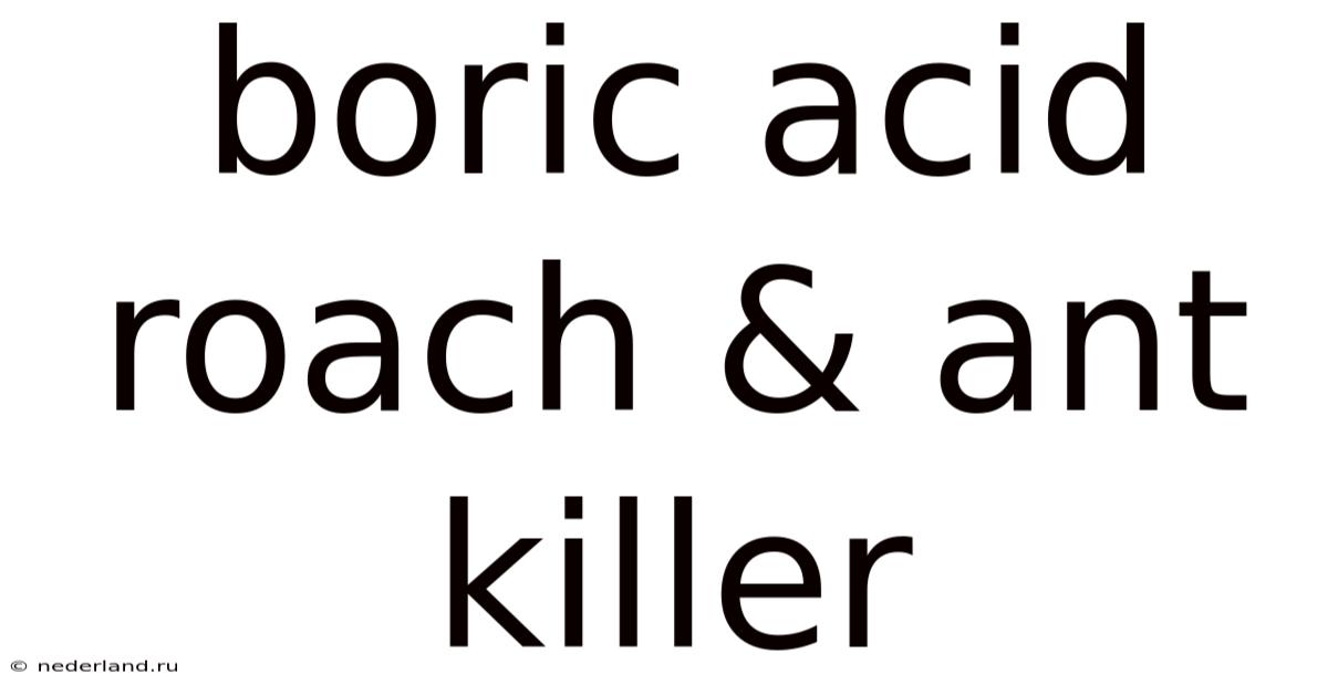 Boric Acid Roach & Ant Killer
