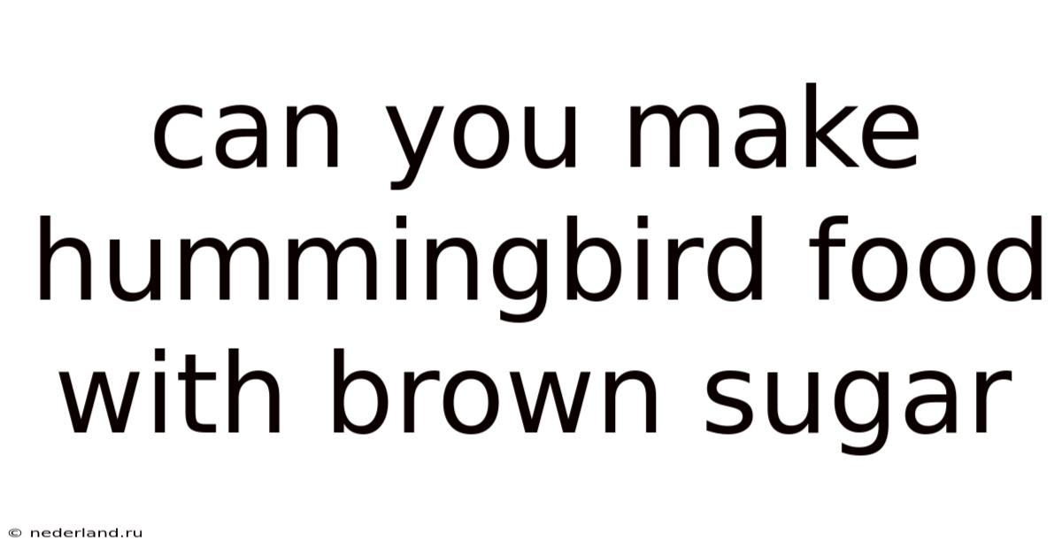 Can You Make Hummingbird Food With Brown Sugar