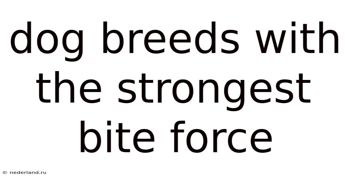 Dog Breeds With The Strongest Bite Force
