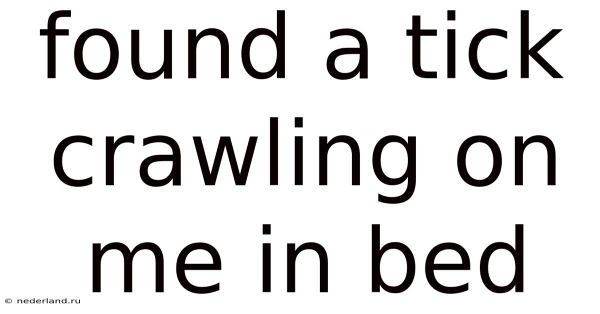 Found A Tick Crawling On Me In Bed