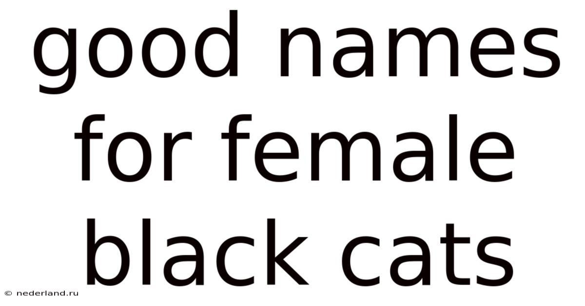 Good Names For Female Black Cats