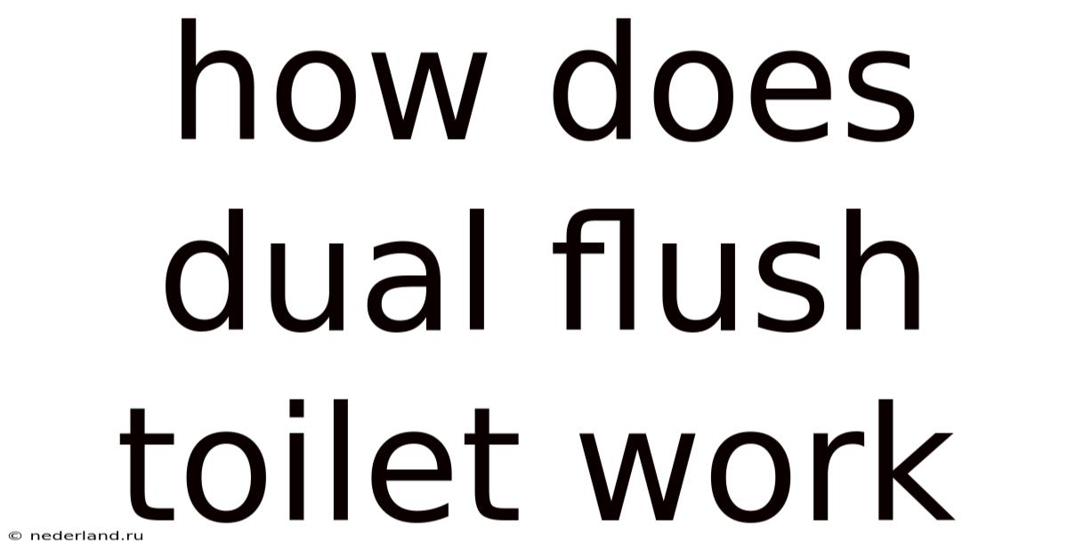 How Does Dual Flush Toilet Work