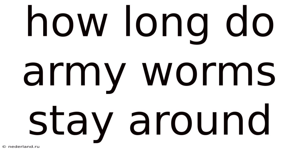 How Long Do Army Worms Stay Around