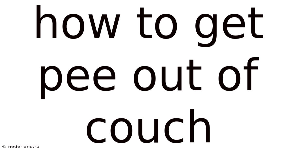 How To Get Pee Out Of Couch