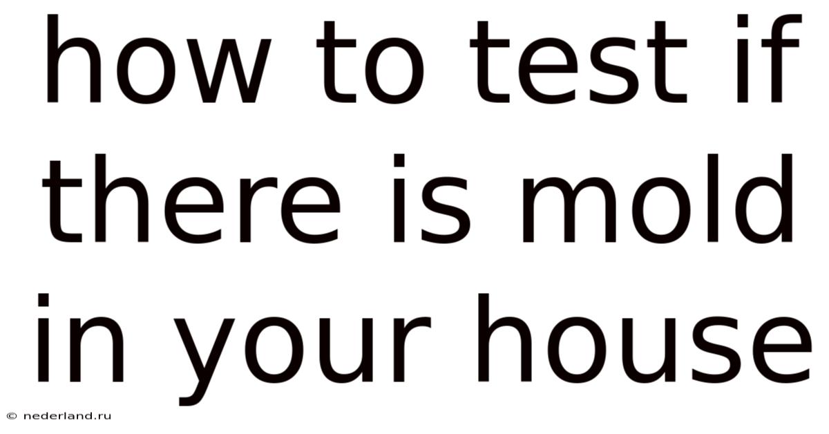 How To Test If There Is Mold In Your House