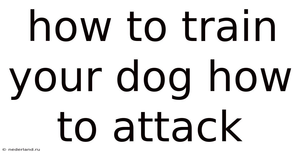 How To Train Your Dog How To Attack
