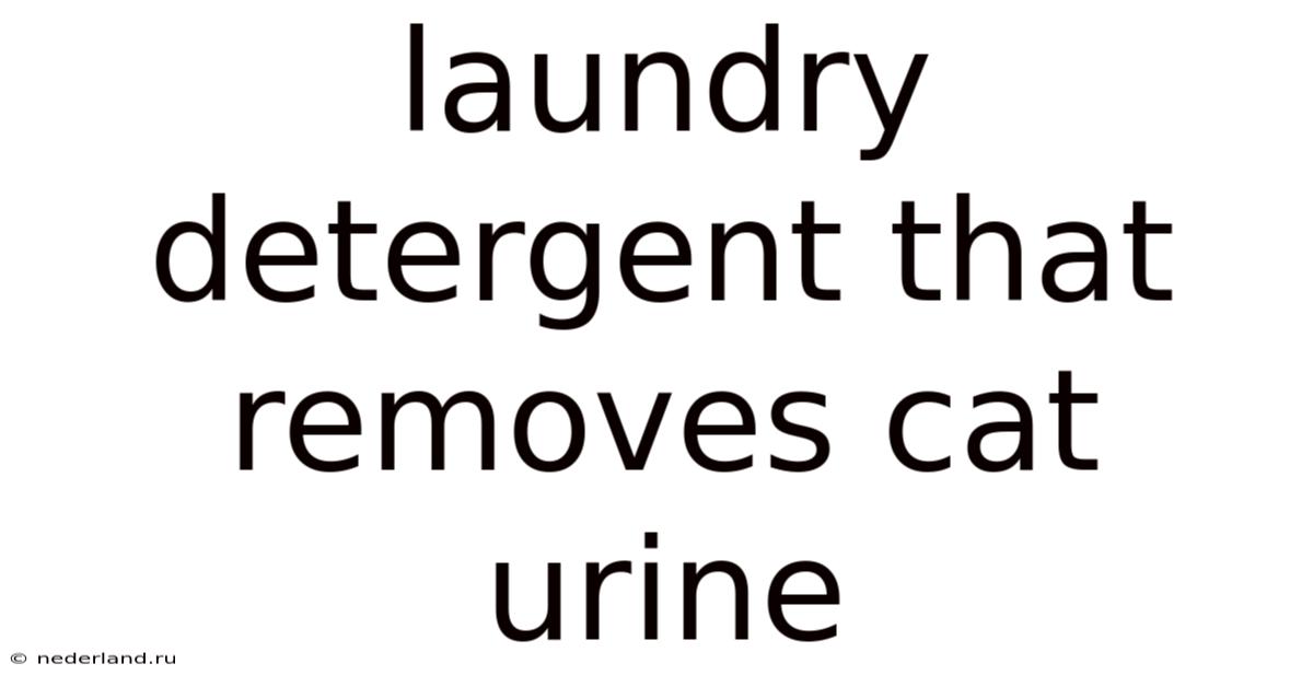 Laundry Detergent That Removes Cat Urine