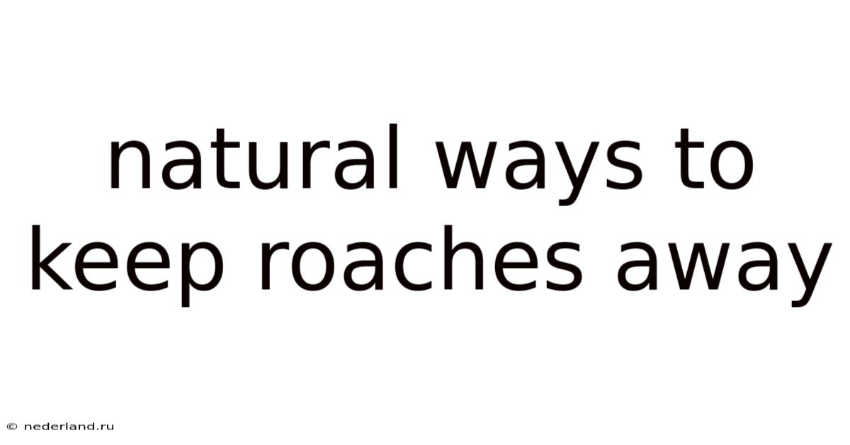 Natural Ways To Keep Roaches Away