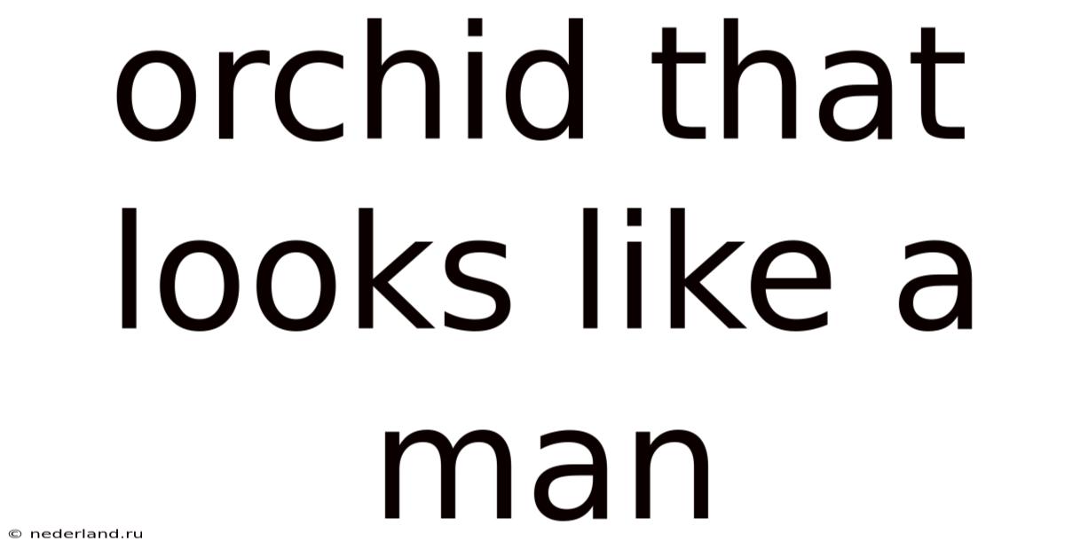 Orchid That Looks Like A Man
