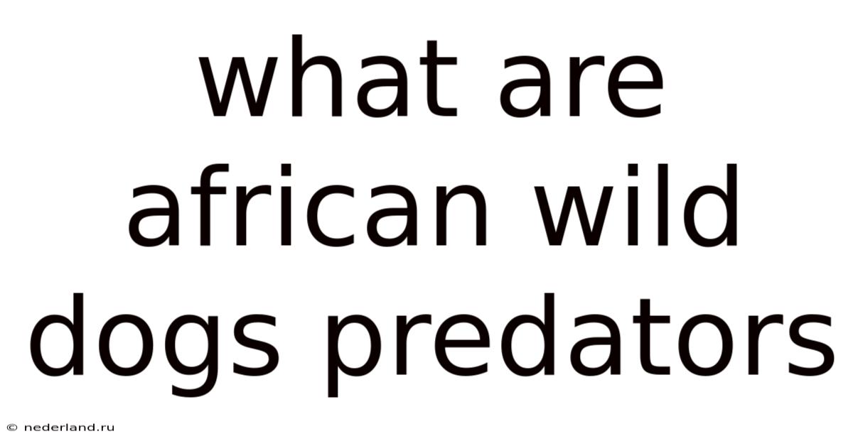 What Are African Wild Dogs Predators