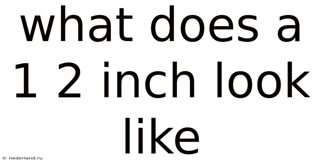 What Does A 1 2 Inch Look Like
