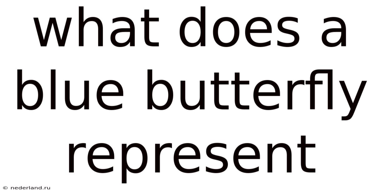 What Does A Blue Butterfly Represent