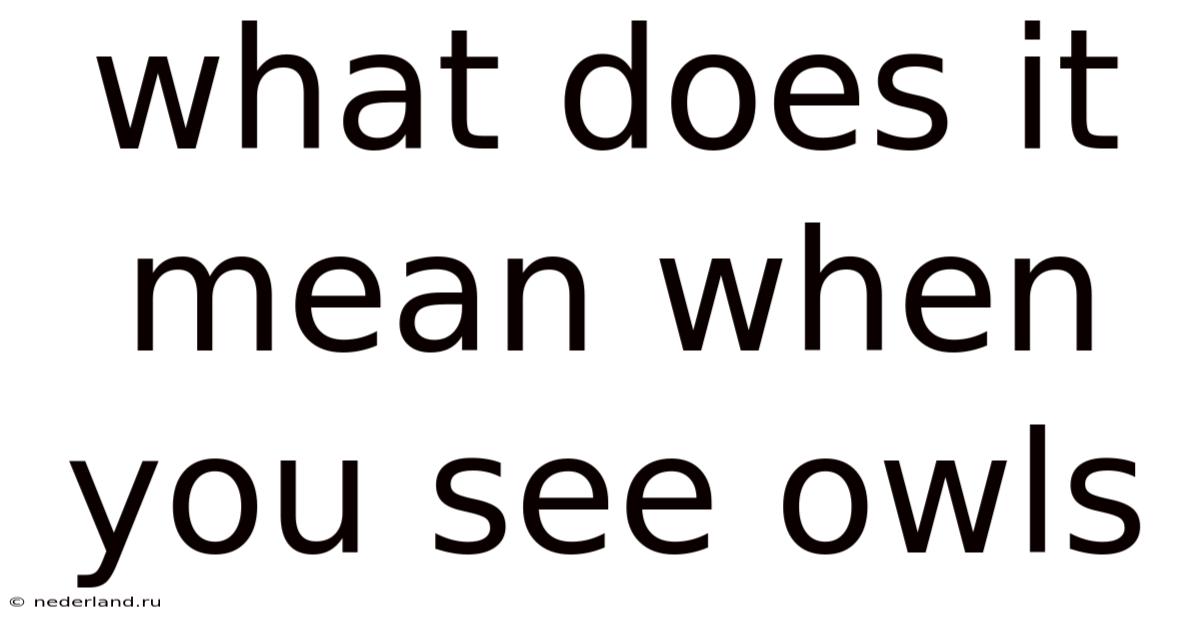 What Does It Mean When You See Owls