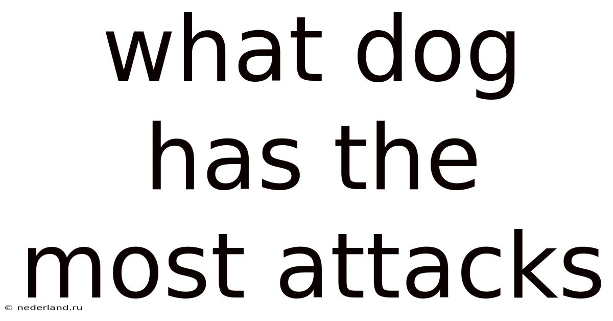 What Dog Has The Most Attacks
