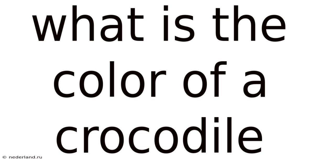 What Is The Color Of A Crocodile