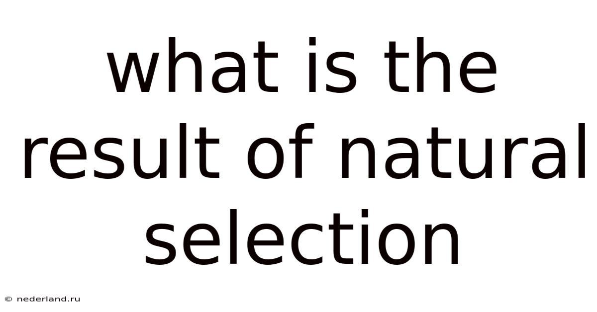 What Is The Result Of Natural Selection