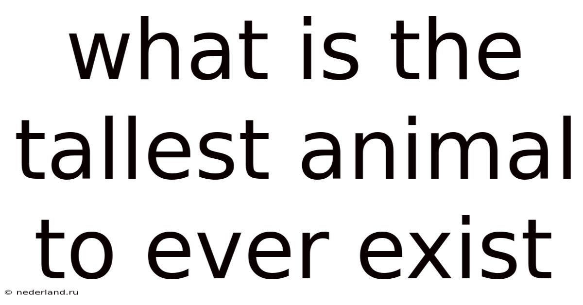 What Is The Tallest Animal To Ever Exist