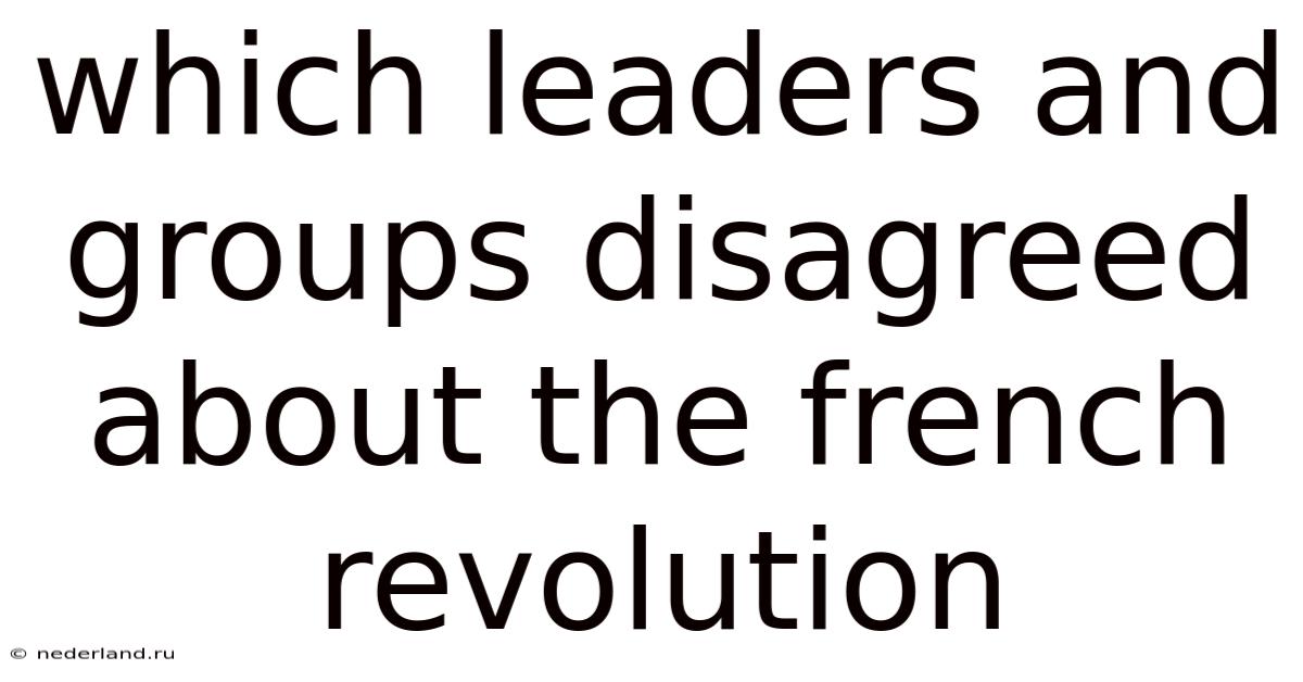 Which Leaders And Groups Disagreed About The French Revolution