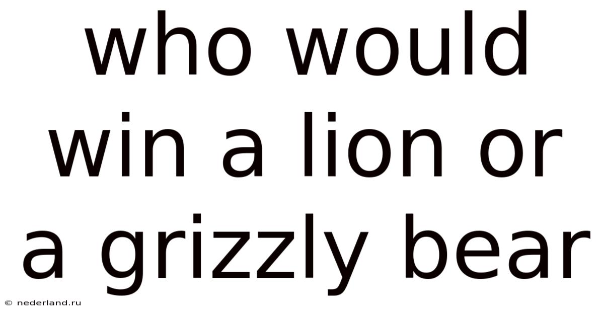 Who Would Win A Lion Or A Grizzly Bear